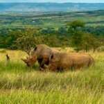What are the best national parks in Rwanda