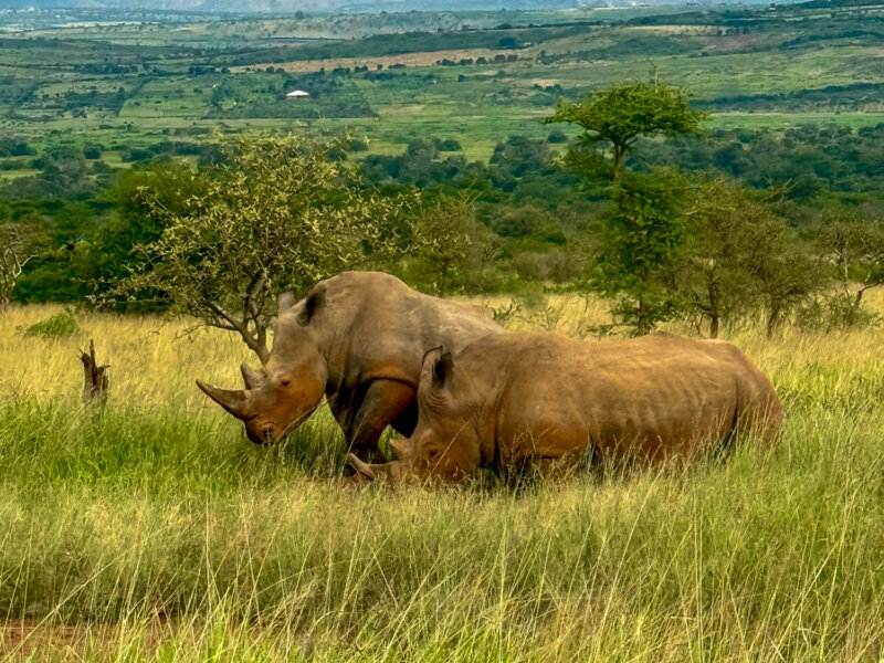 What are the best national parks in Rwanda