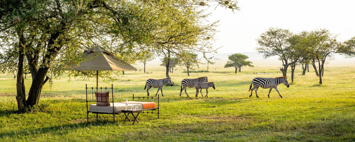 What Are the Top Safari Destinations in Tanzania