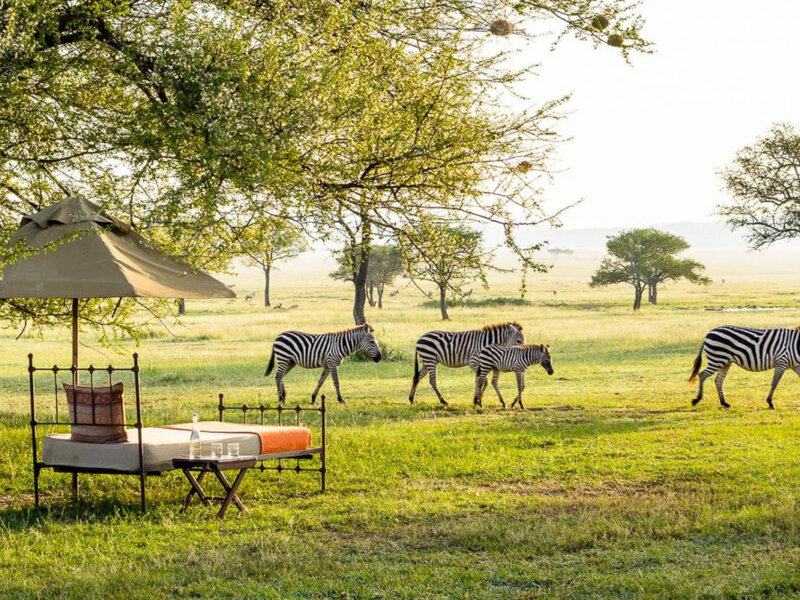 What Are the Top Safari Destinations in Tanzania