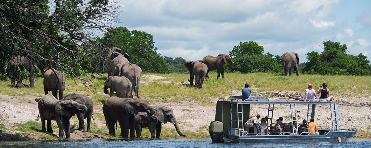 What Is the Best Tanzania Safari for Couples