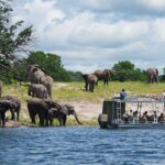 What Is the Best Tanzania Safari for Couples