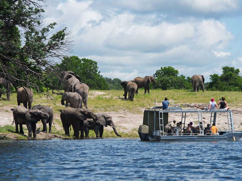 What Is the Best Tanzania Safari for Couples