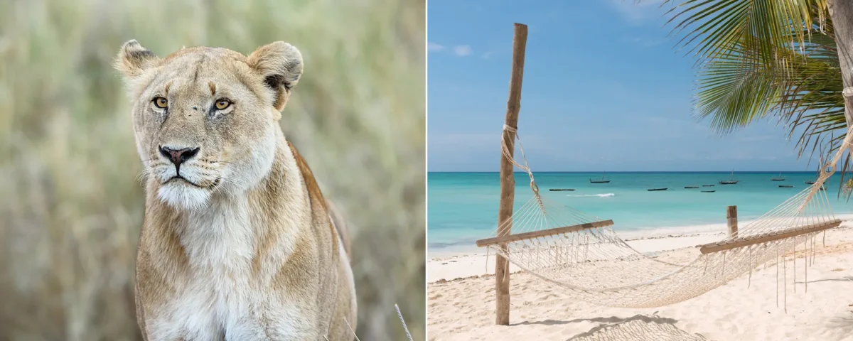 Can I Combine Zanzibar and Tanzania Safari