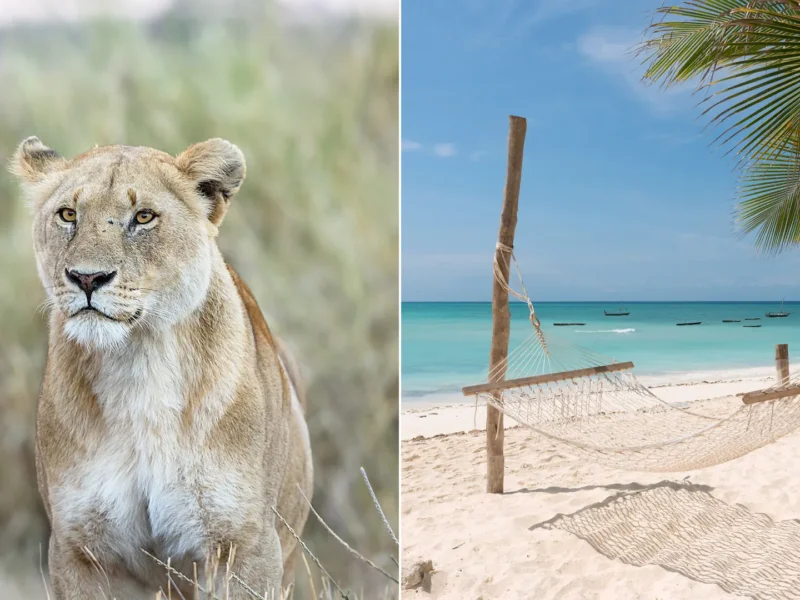 Can I Combine Zanzibar and Tanzania Safari
