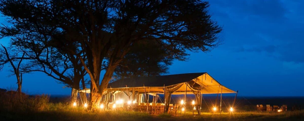 What Are the Best Safari Camps in Tanzania