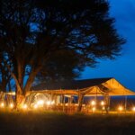 What Are the Best Safari Camps in Tanzania