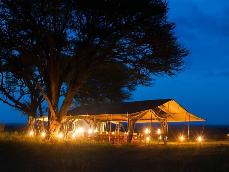 What Are the Best Safari Camps in Tanzania
