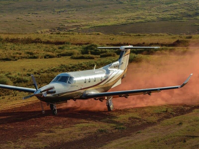 How Far Is Serengeti from Arusha