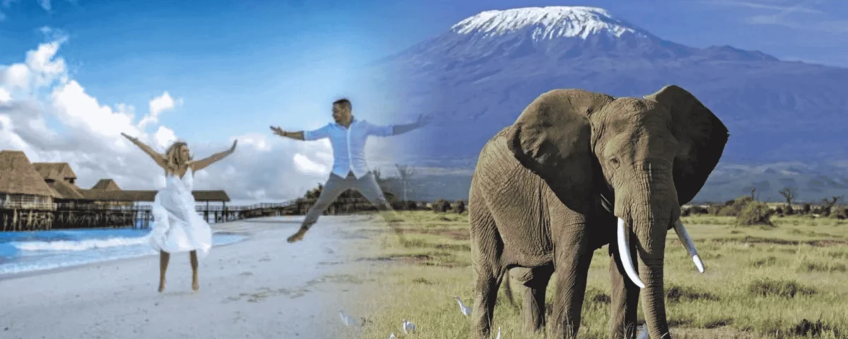 What Is Luxury Zanzibar and Safari Holiday