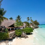 Can Families Combine Safari and Zanzibar