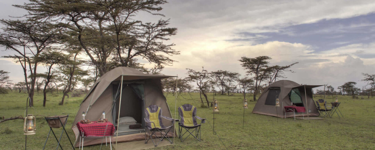 What Is Budget Serengeti Safari
