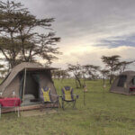 What Is Budget Serengeti Safari