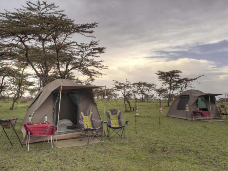What Is Budget Serengeti Safari
