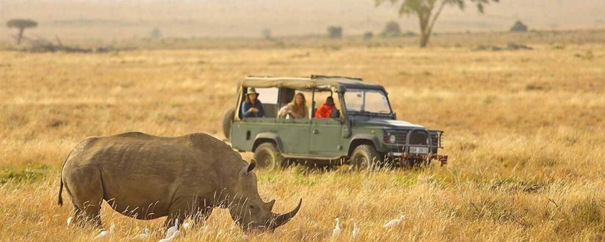 What Is the Best Budget Safari Company in Tanzania