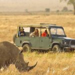 What Is the Best Budget Safari Company in Tanzania