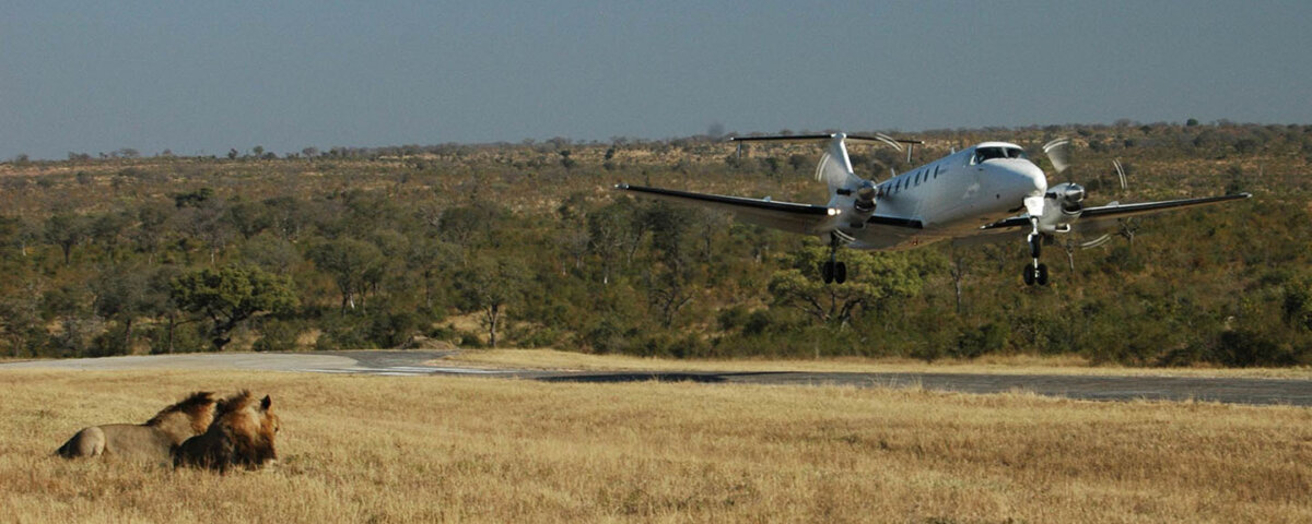 Can I Fly to Serengeti