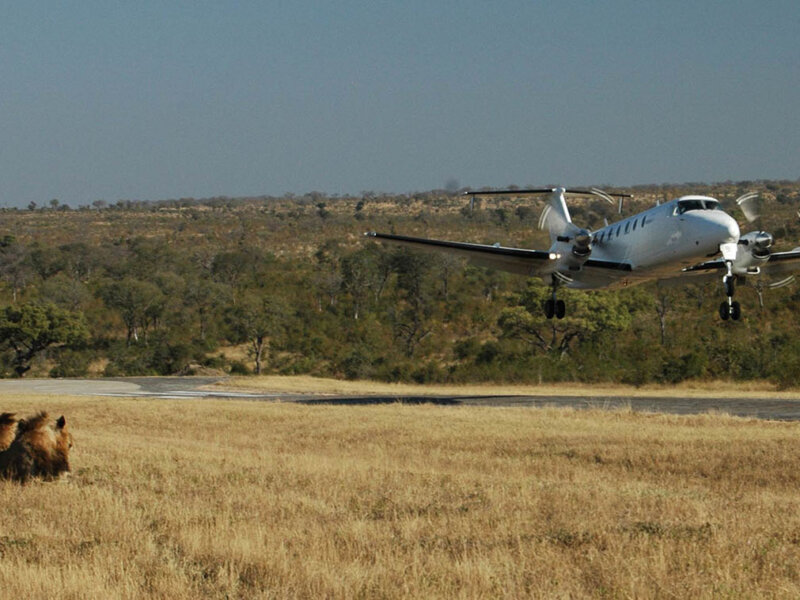 Can I Fly to Serengeti