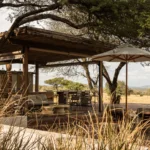 What Is the Best 5 Star Safari in Tanzania