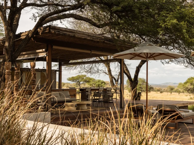 What Is the Best 5 Star Safari in Tanzania