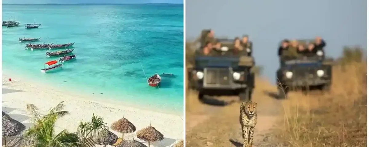 How Much Is Tanzania Safari and Zanzibar Package