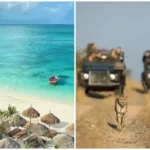 How Much Is Tanzania Safari and Zanzibar Package