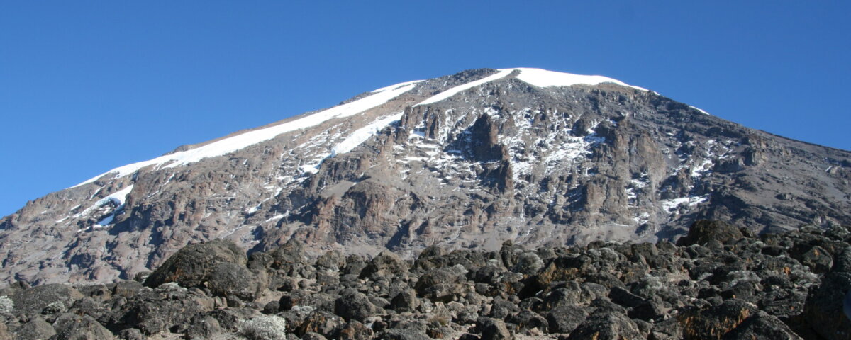 Which Safari Is Best After Kilimanjaro