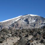 Which Safari Is Best After Kilimanjaro