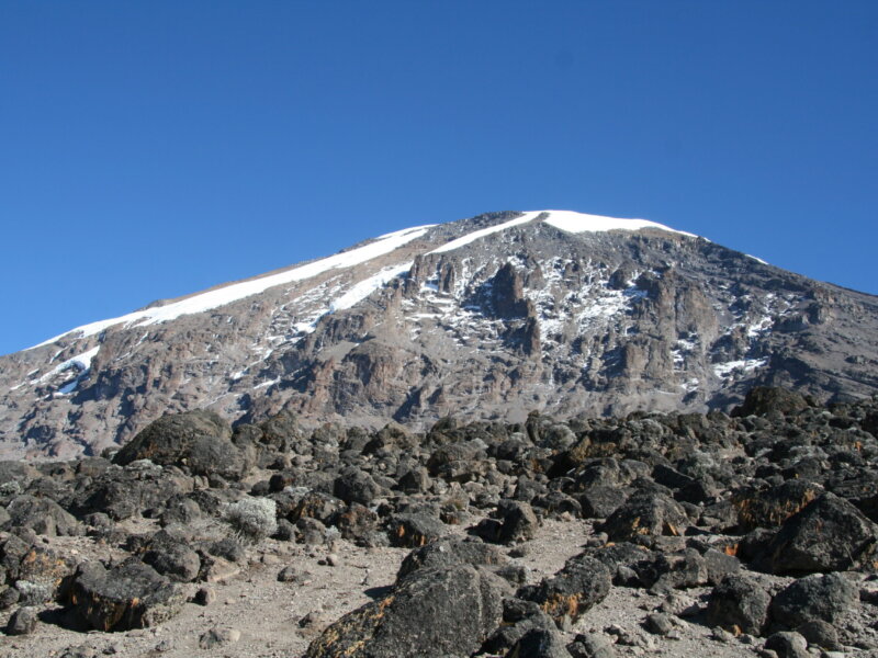 Which Safari Is Best After Kilimanjaro