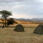 What Is Camping Safari in Tanzania?
