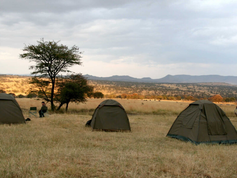 What Is Camping Safari in Tanzania?