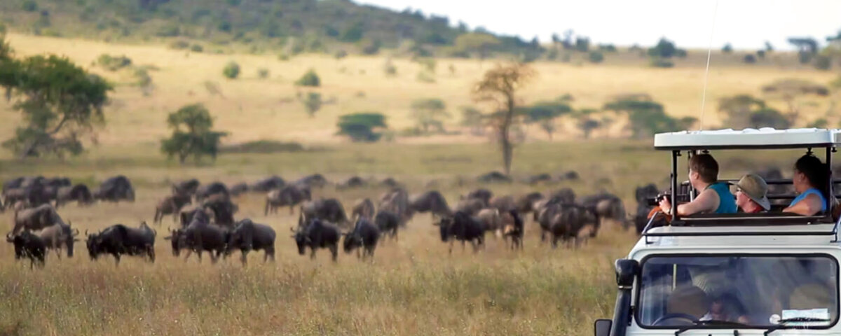 What Is Luxury Migration Safari Tanzania