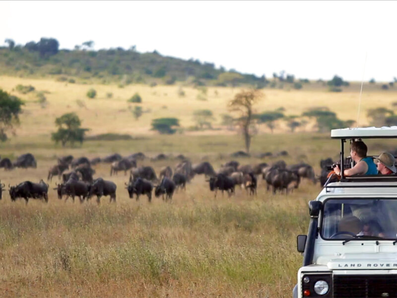 What Is Luxury Migration Safari Tanzania
