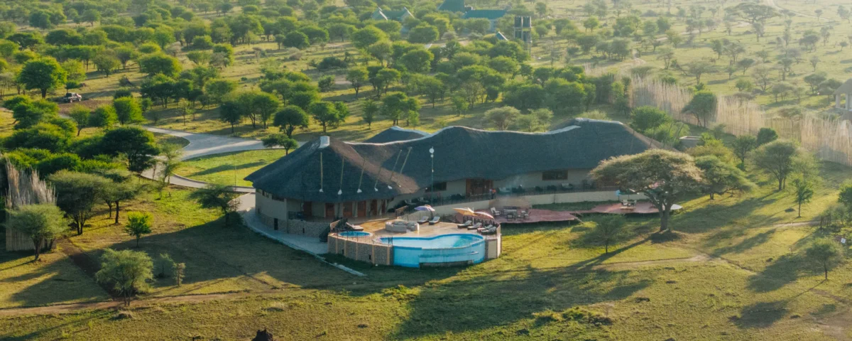 Are There Cheap Safari Lodges in Tanzania