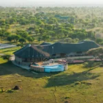 Are There Cheap Safari Lodges in Tanzania