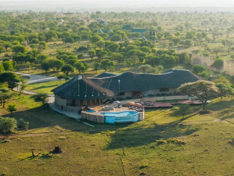 Are There Cheap Safari Lodges in Tanzania