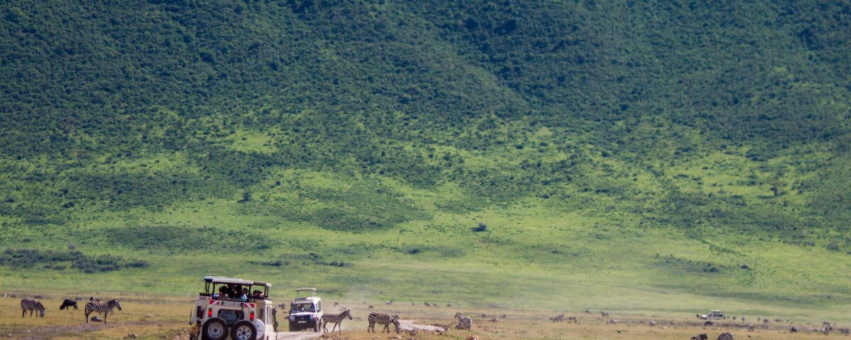 How Much Does Ngorongoro Safari Cost