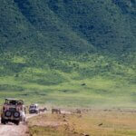 How Much Does Ngorongoro Safari Cost