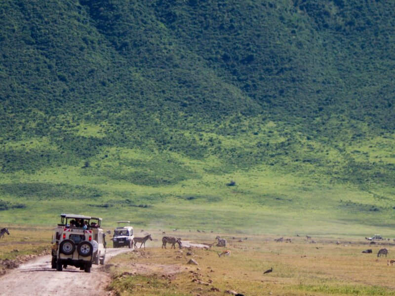 How Much Does Ngorongoro Safari Cost