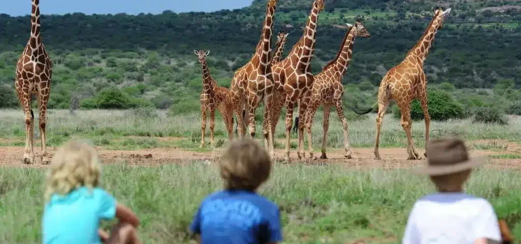 What Activities Can Kids Do on Safari