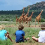 What Activities Can Kids Do on Safari