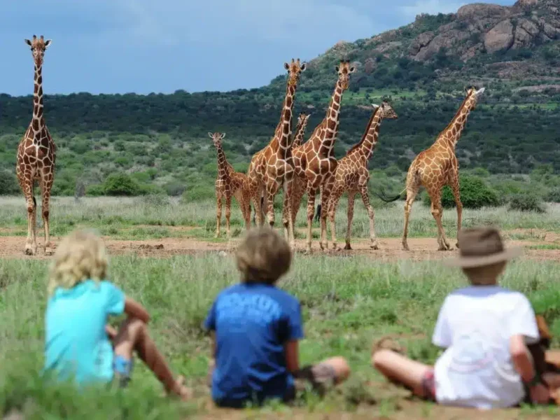 What Activities Can Kids Do on Safari