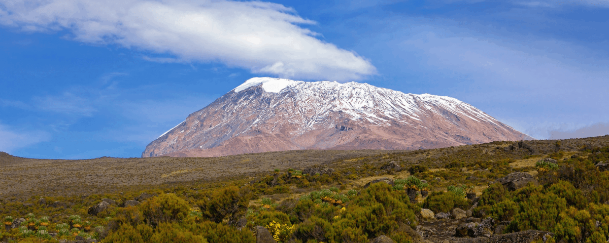What Is the Cost of Kilimanjaro and Safari Tour