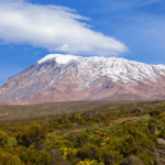 What Is the Cost of Kilimanjaro and Safari Tour