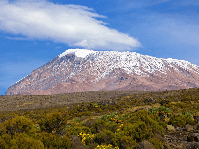 What Is the Cost of Kilimanjaro and Safari Tour