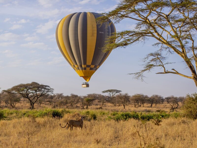 Can You Do Hot Air Balloon Safari in Serengeti