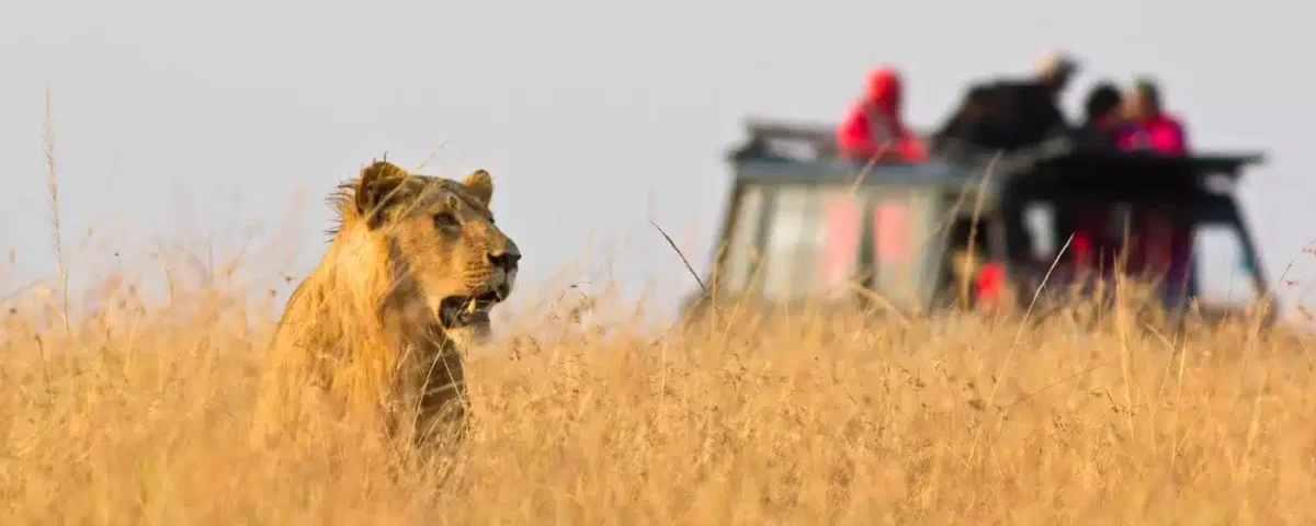 Which Tanzania Safari Is Best for Kids