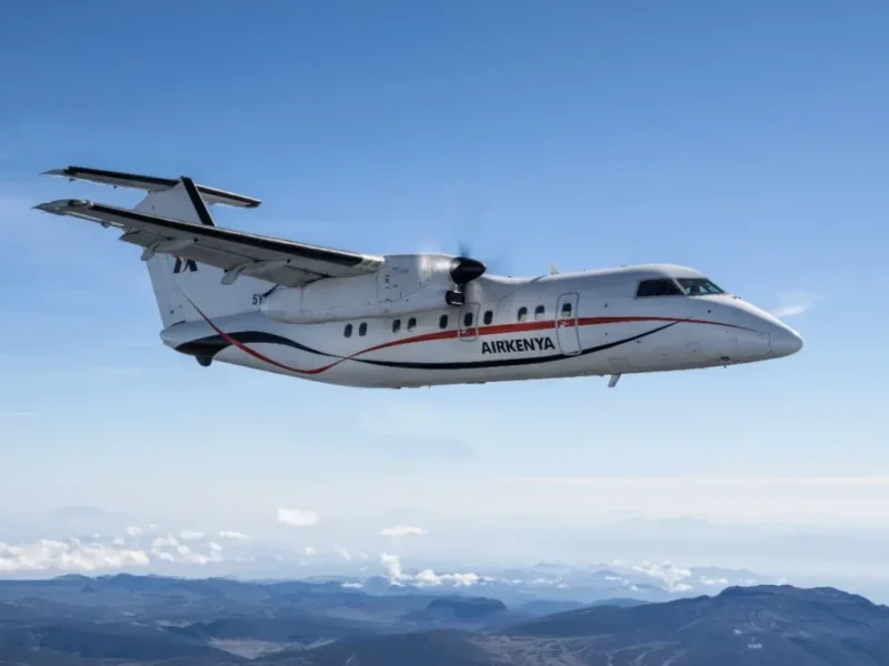 Are Fly-In Safaris Worth It in Kenya