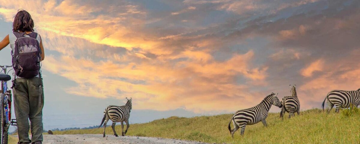 Are Kenya Safaris Good for Solo Travelers