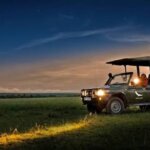 Are Night Safaris Allowed in Kenya